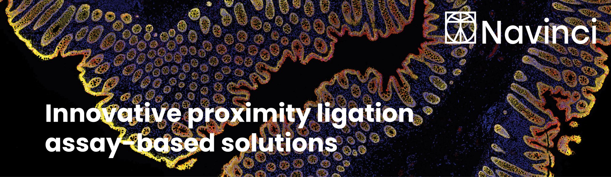 Navinci banner Jan26